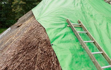 maintaining Upper Edmonton thatch